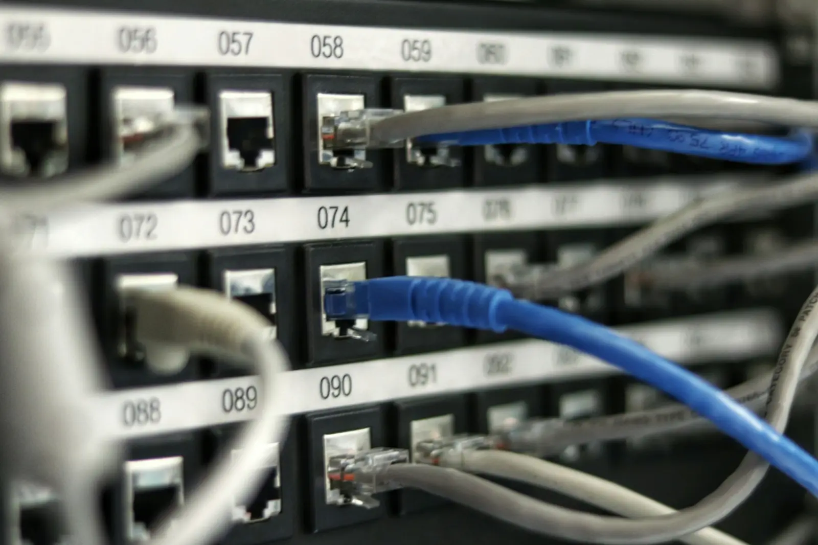 Ethernet cables connected to numbered ports on a network switch